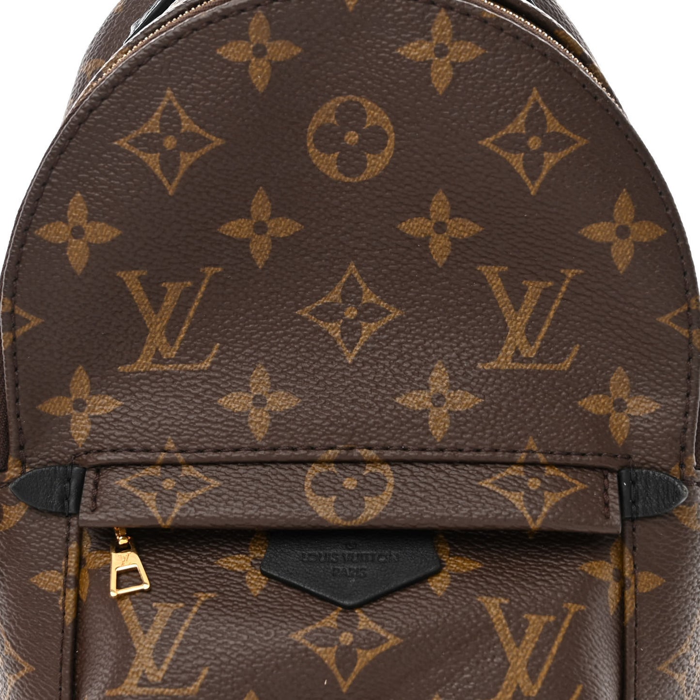 Monogram Palm Springs Backpack Mini