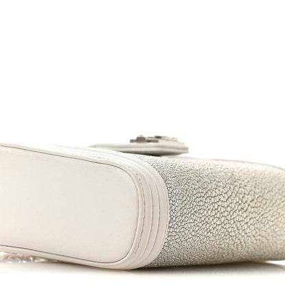 Chanel Metallic Galuchat Stingray Lambskin Mini Clutch With Removable Chain Silver 10 of 12