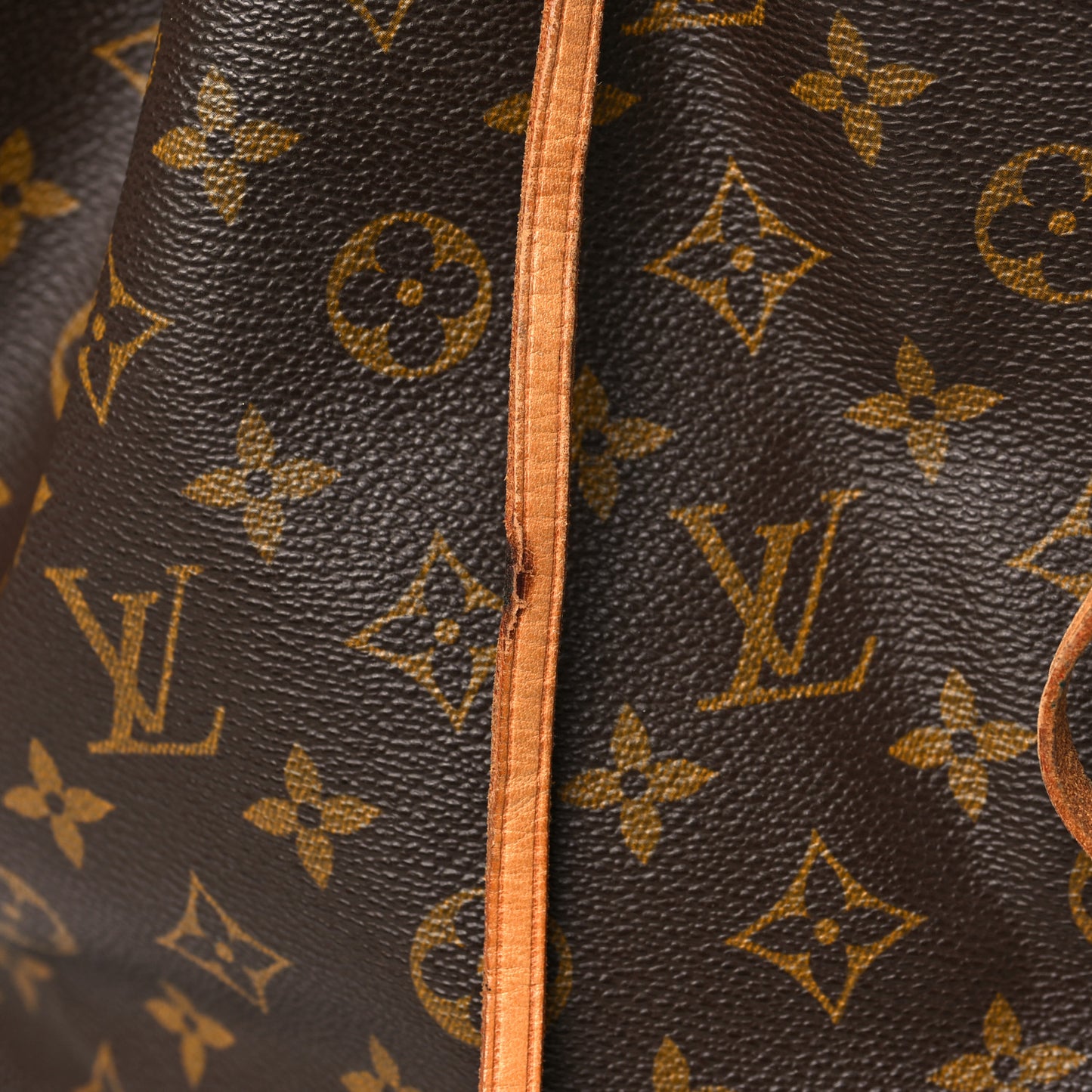Monogram Petit Noe