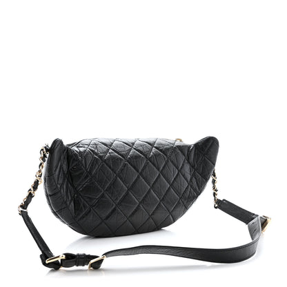 Chanel Aged Calfskin Quilted Waist Bag With Coin Purse Black 4 of 15