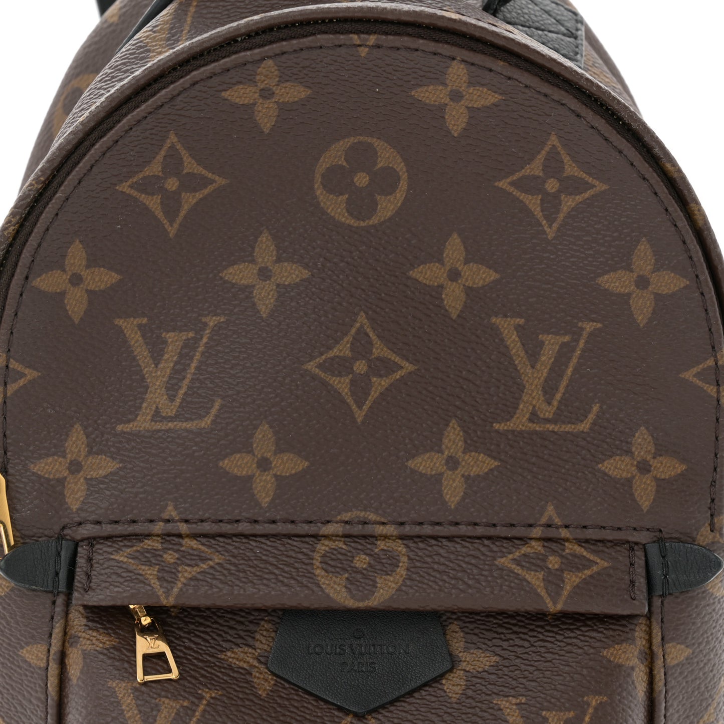 Monogram Palm Springs Backpack Mini
