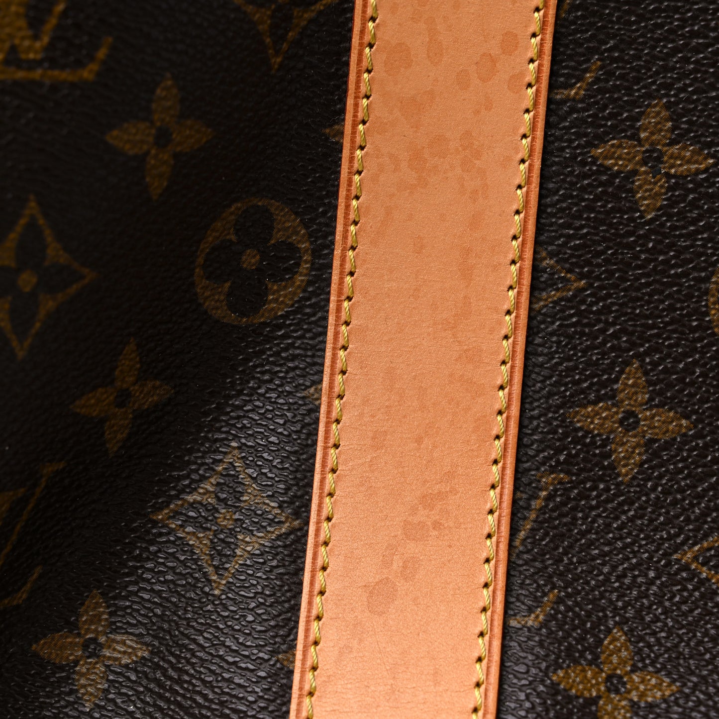 Monogram Carryall