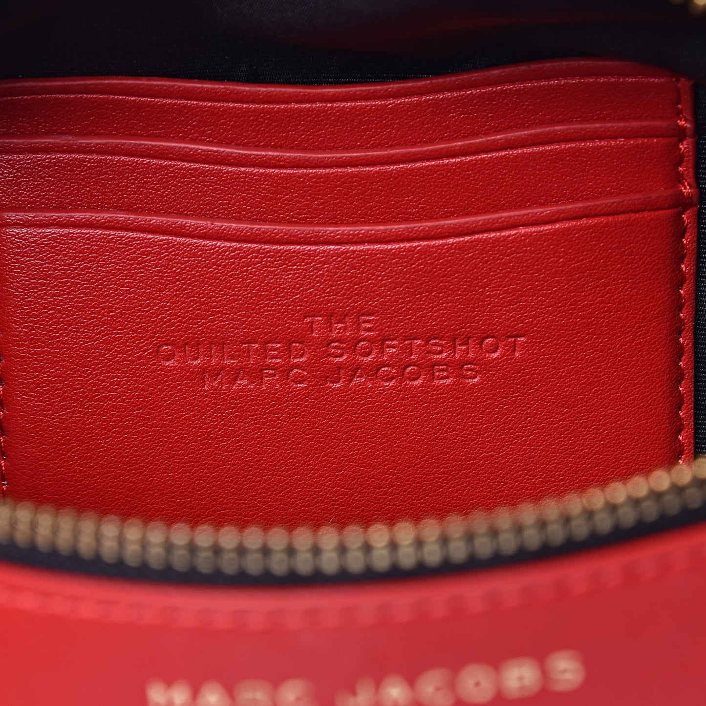 Calfskin Quilted The Softshot 21 Bag Red