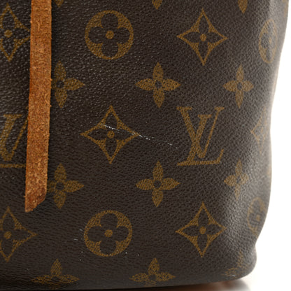 Louis Vuitton Monogram Petit Noe 18 of 21
