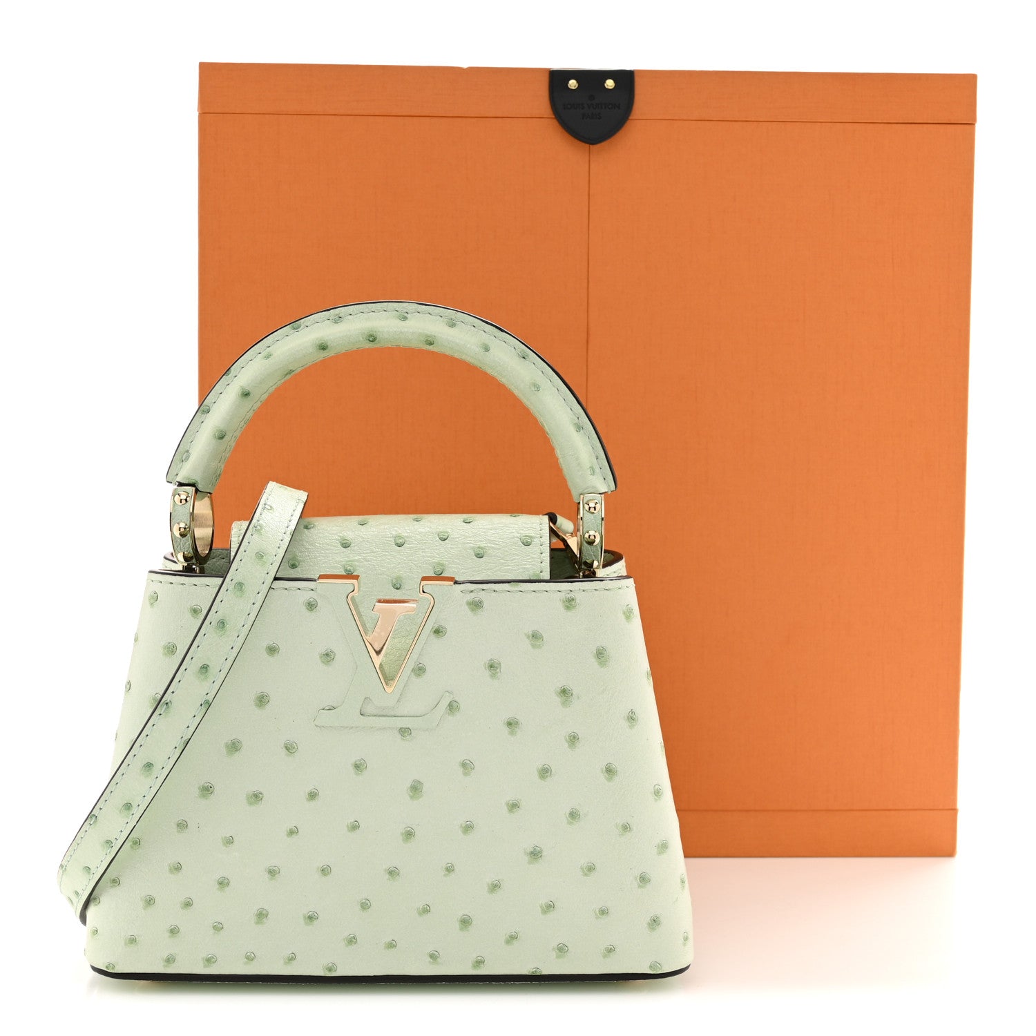 Louis Vuitton Ostrich Capucines Mini Vert Celadon 11 of 11