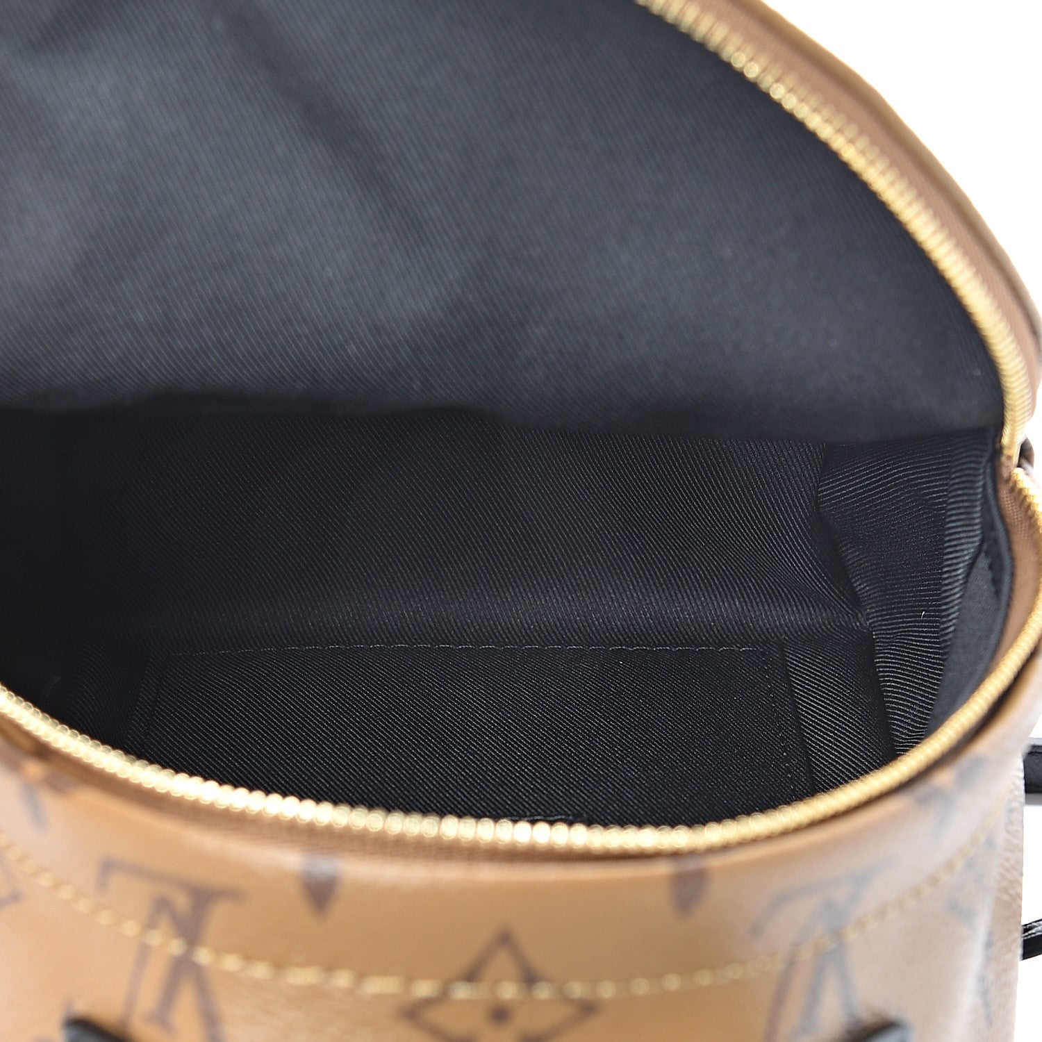 Louis Vuitton Reverse Monogram Palm Springs Backpack Mini 4 of 10