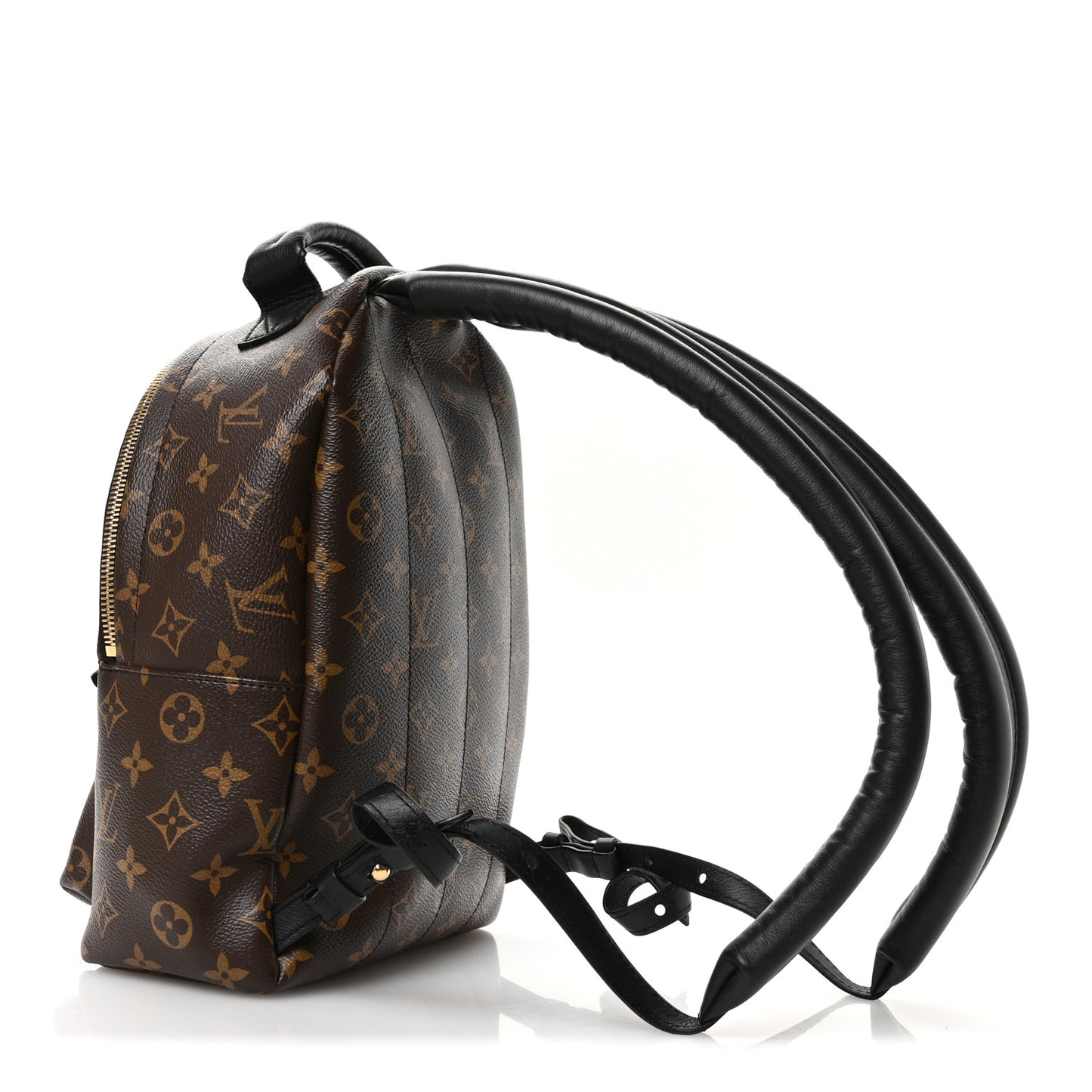 Monogram Palm Springs Backpack PM