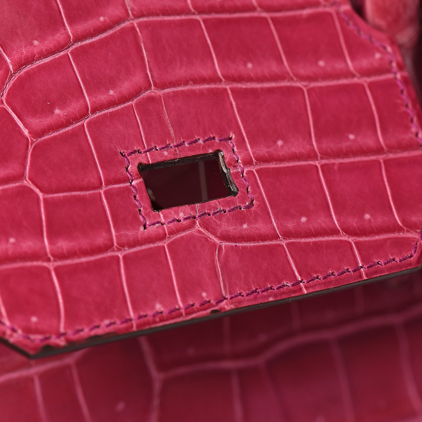 Shiny Porosus Crocodile Birkin 30 Rose Tyrien