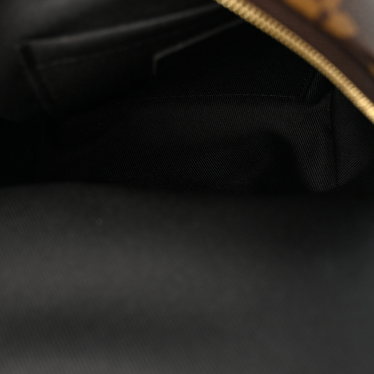 Monogram Palm Springs Backpack Mini