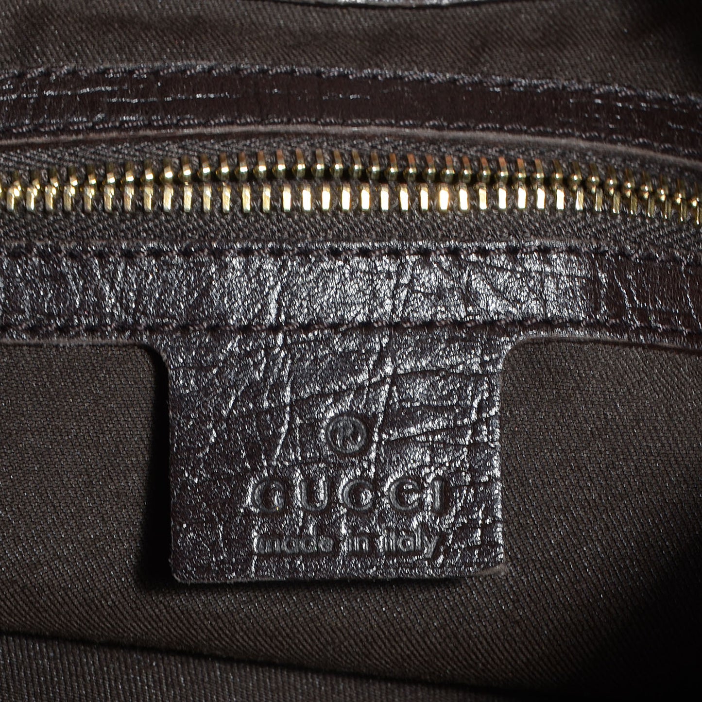 Monogram Hasler Hobo Dark Brown