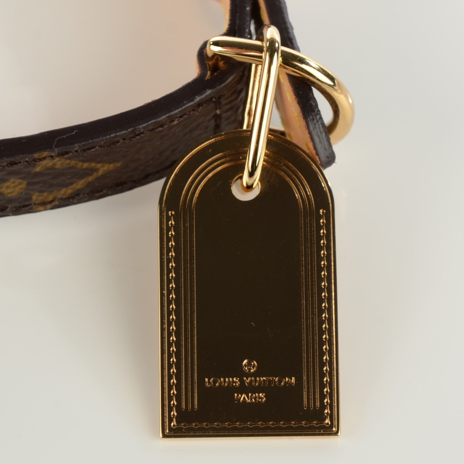 Louis Vuitton Monogram Baxter Dog Collar PM 6 of 7