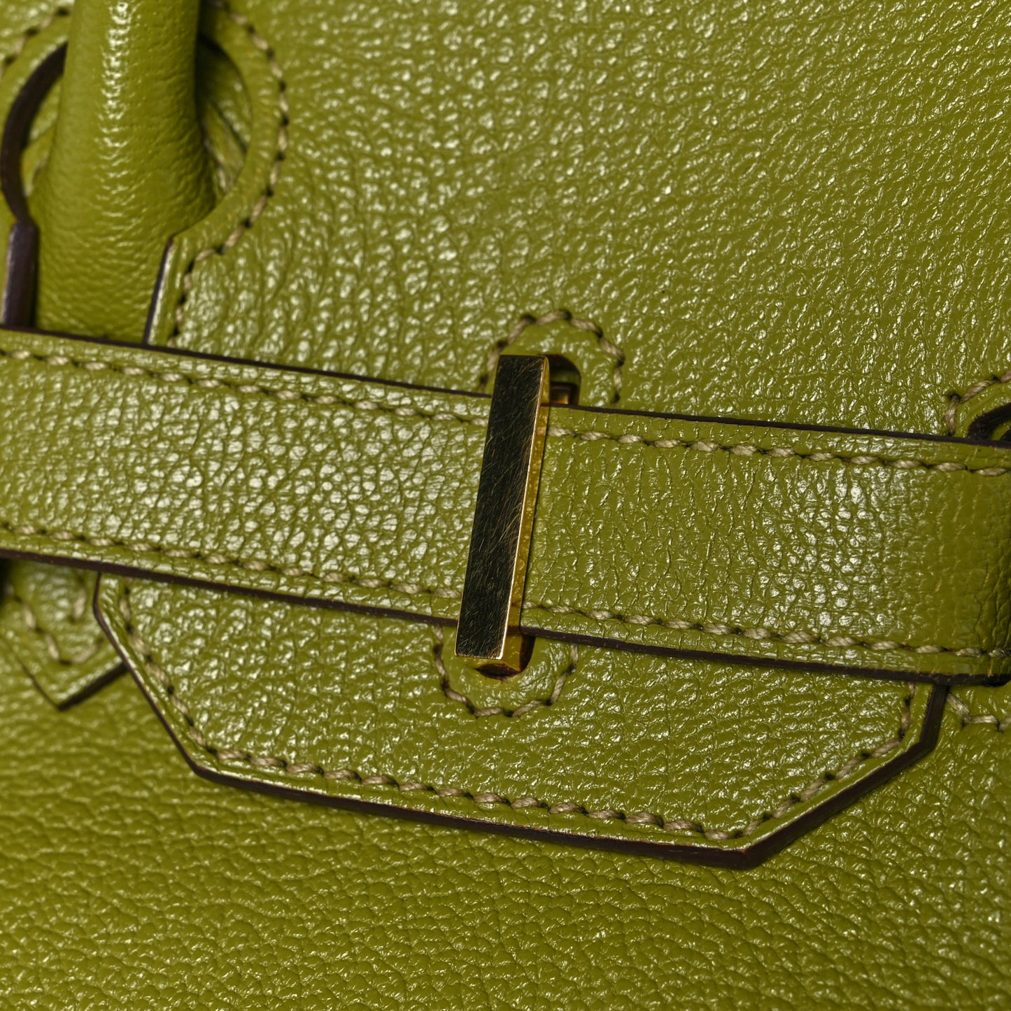 Chevre Mysore Birkin 30 Vert Anis