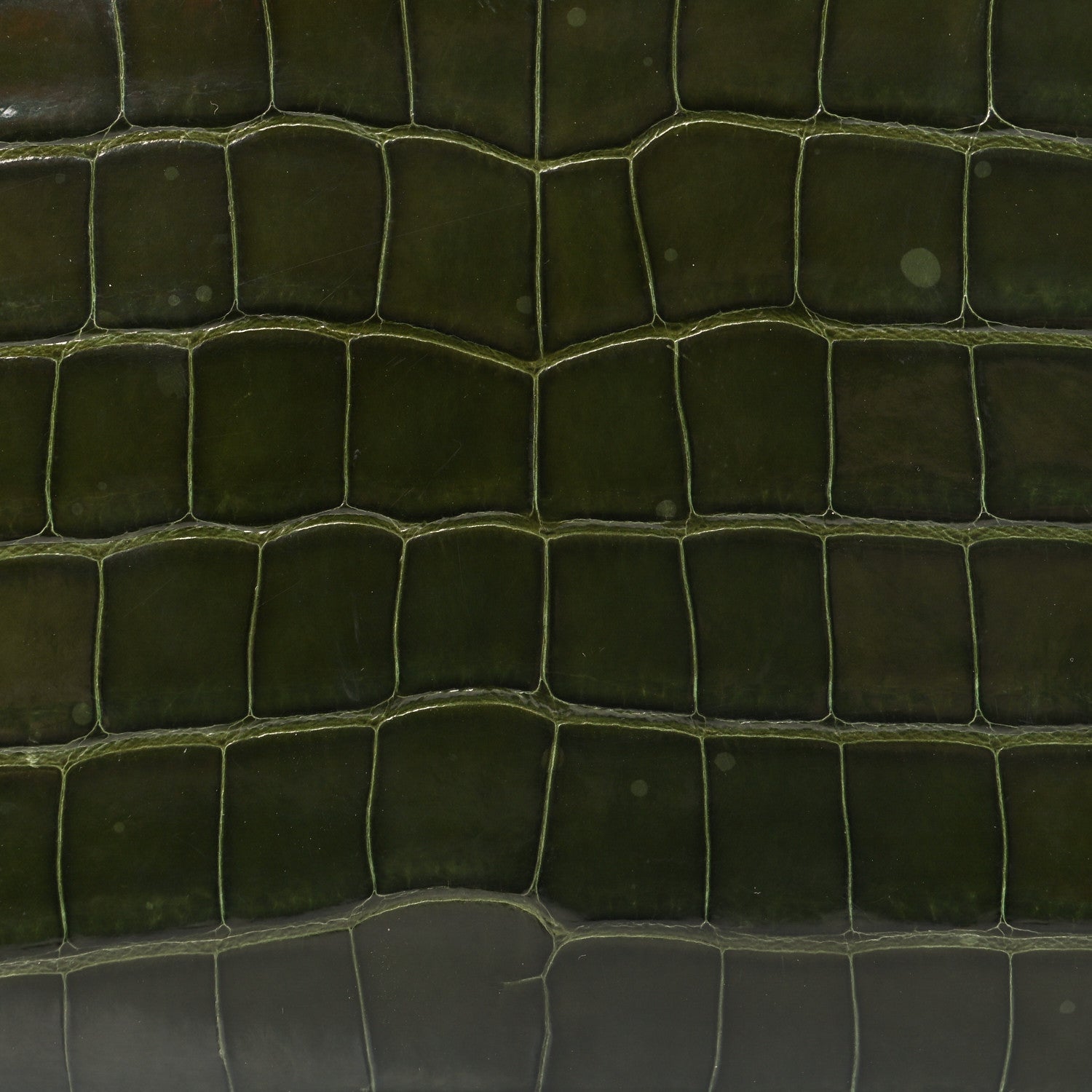 Louis Vuitton Alligator Zippy Wallet Green 7 of 8