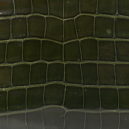 Louis Vuitton Alligator Zippy Wallet Green 7 of 8