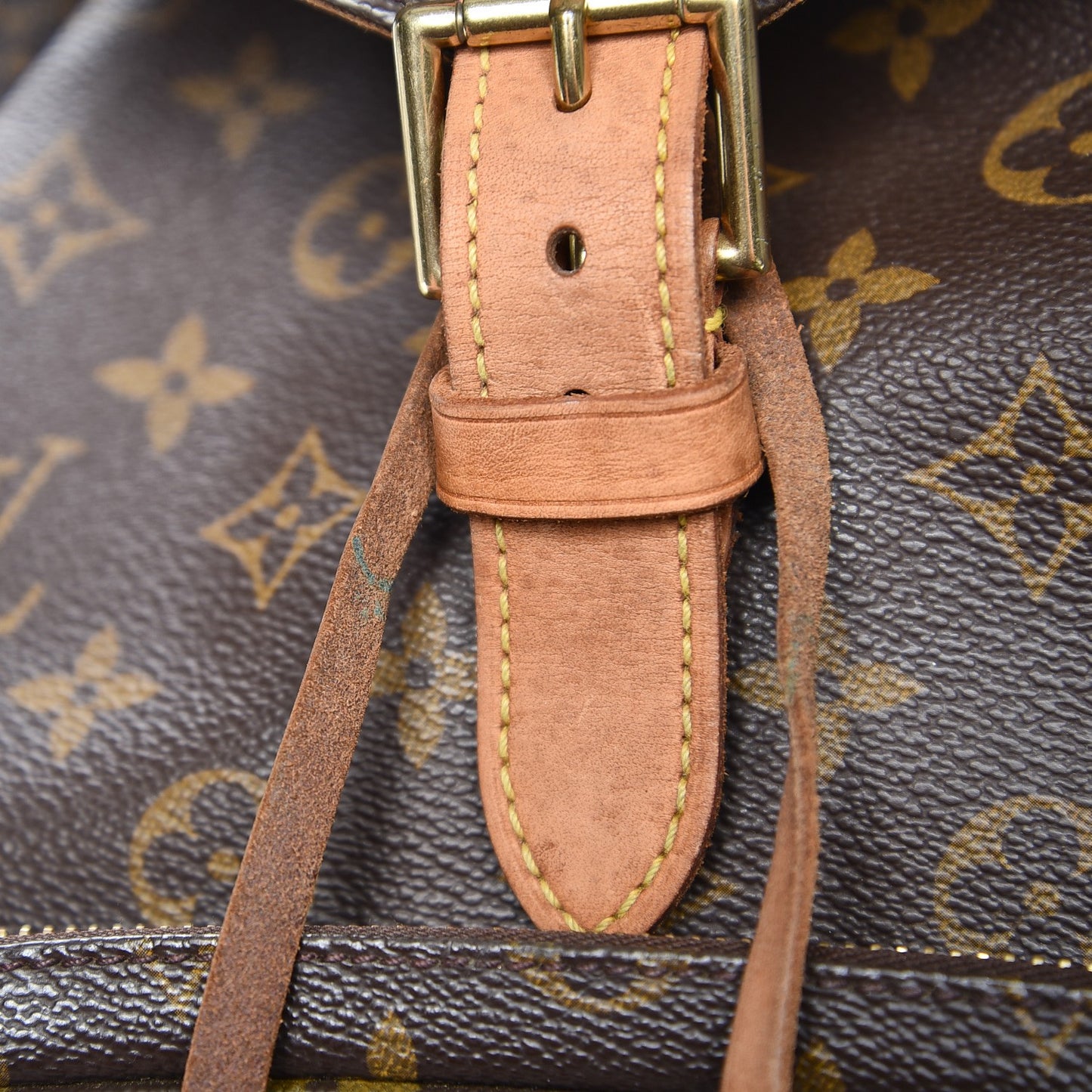 Monogram Montsouris GM Backpack
