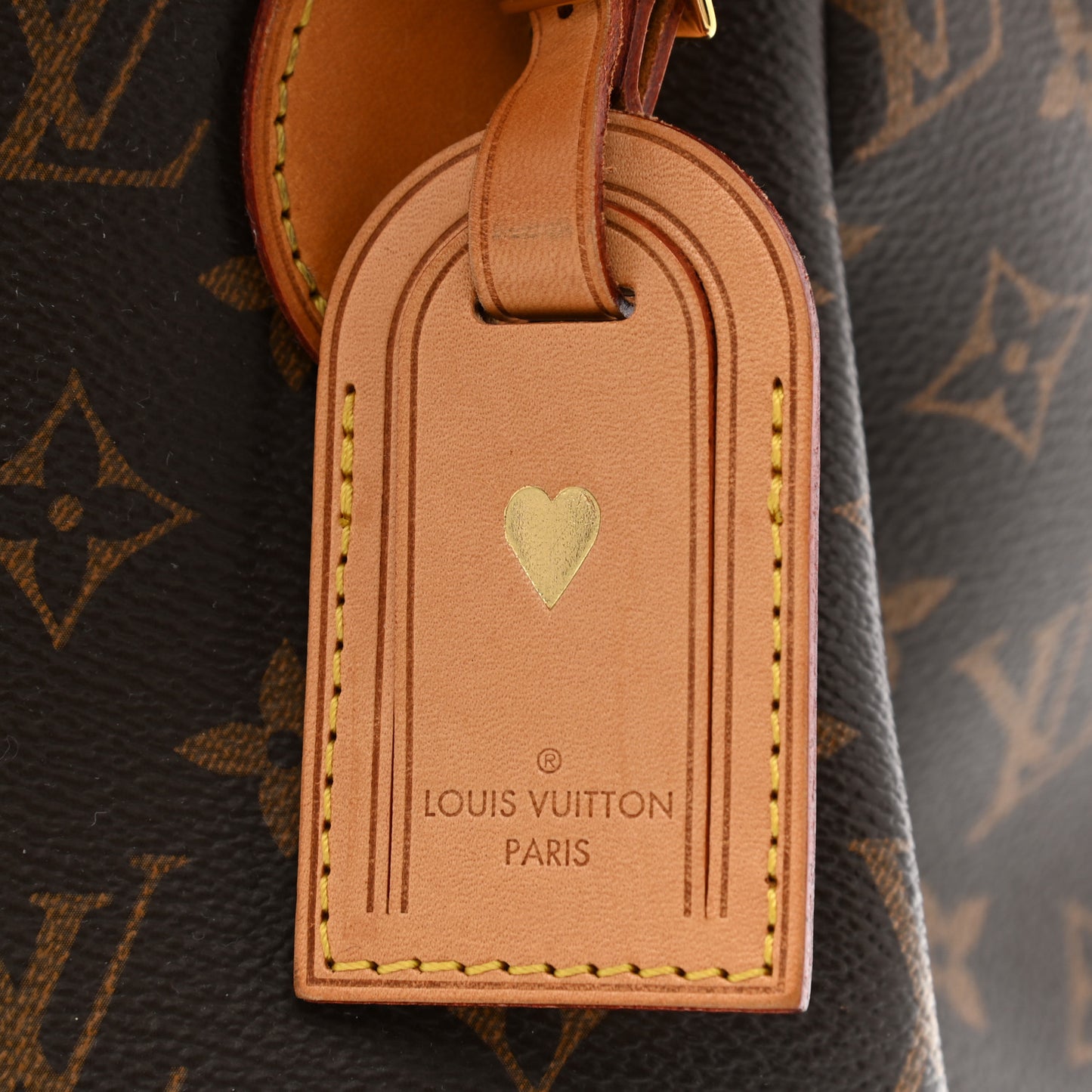 Monogram Turenne MM