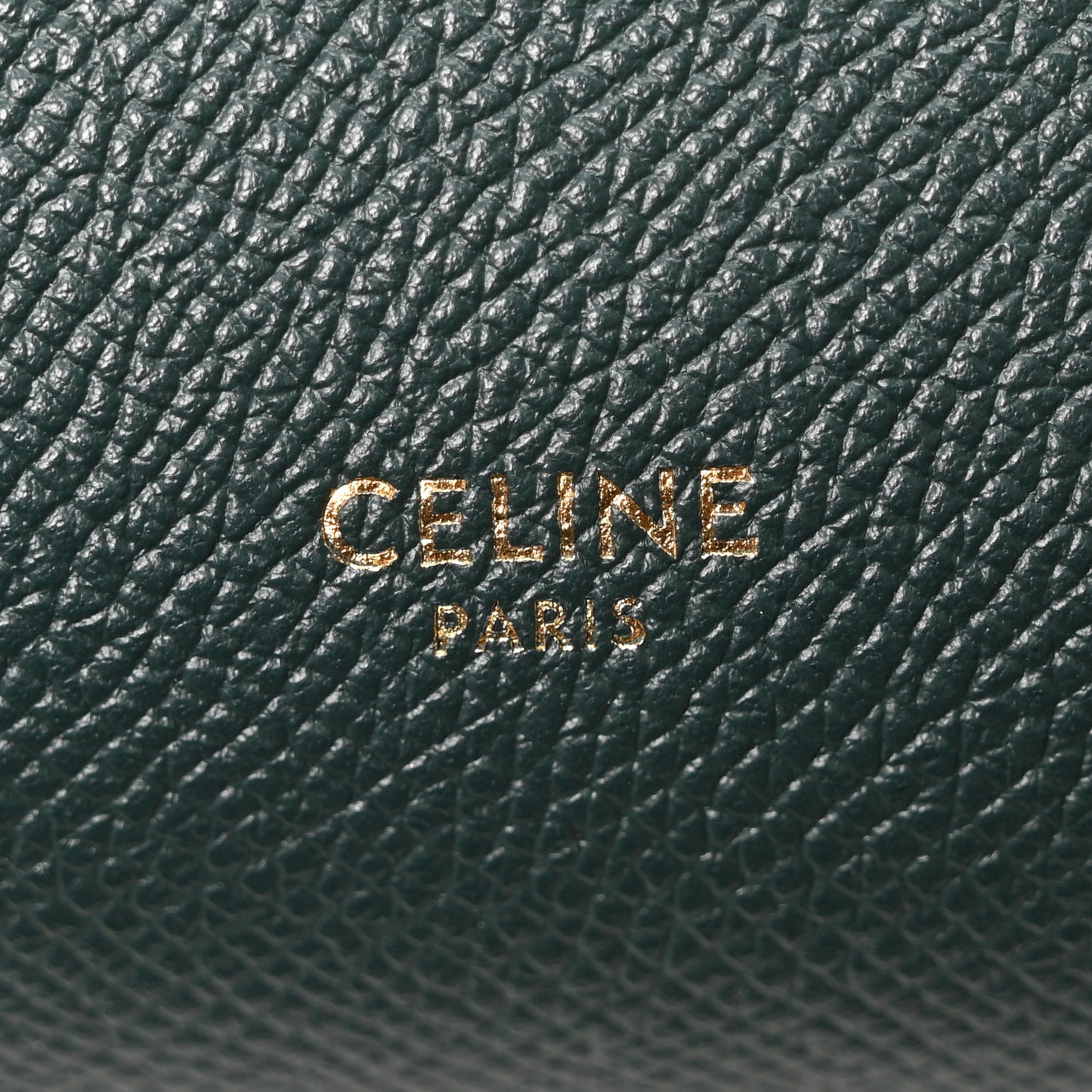 Grained Calfskin Micro Belt Bag Amazone