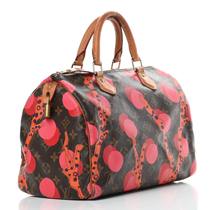 Louis Vuitton Monogram Ramages Speedy 30 Grenade 3 of 24