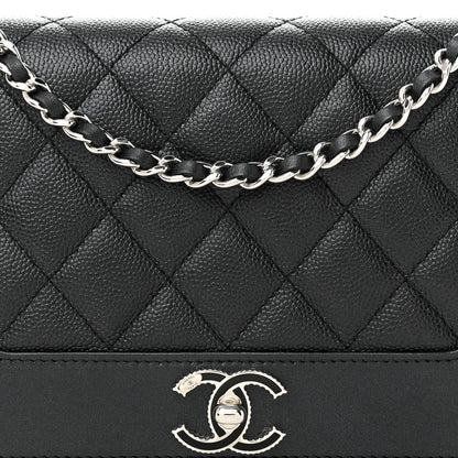 Chanel Caviar Quilted Vintage Mademoiselle Wallet On Chain WOC Black 9 of 14