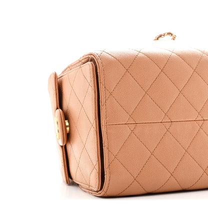 Chanel Caviar Quilted Small Chanel 25 Handbag Brown 9 of 10