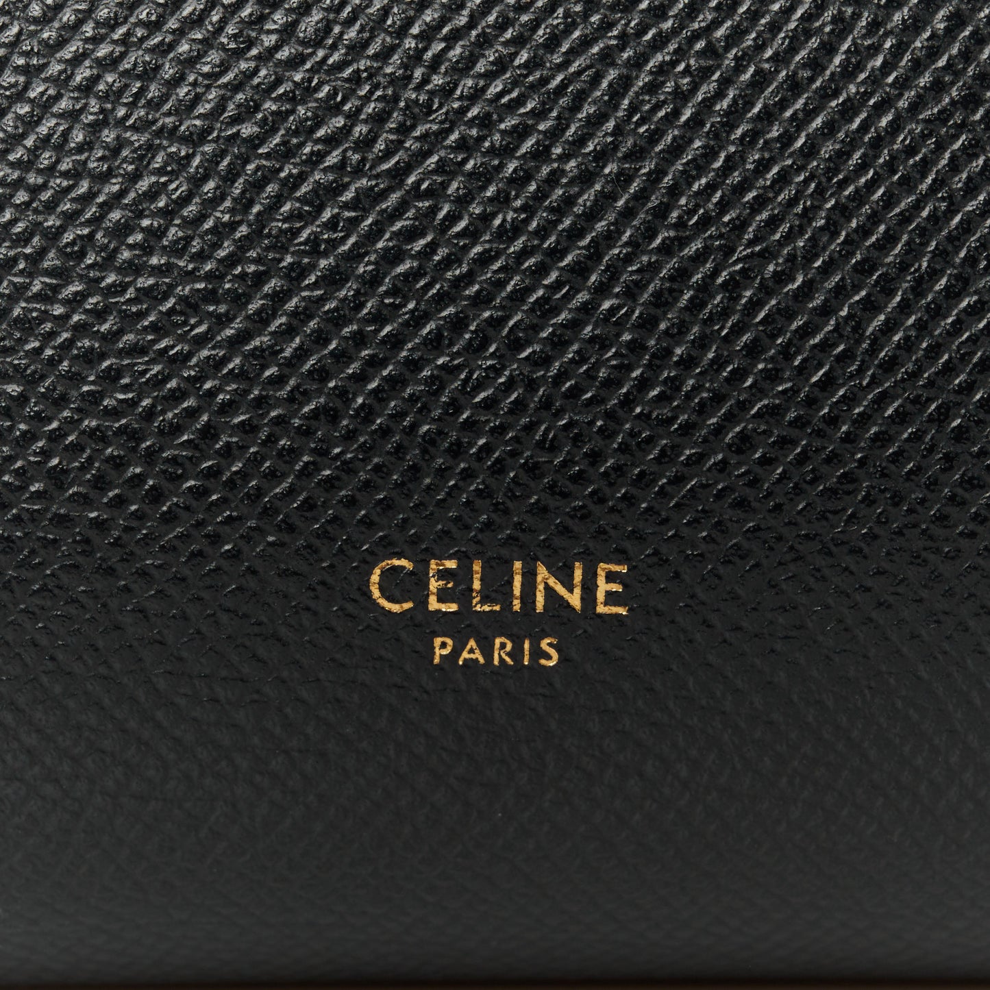 Grained Calfskin Nano Belt Bag Black