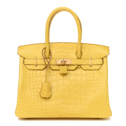 Hermes Matte Alligator Birkin 30 Mimosa 1 of 11