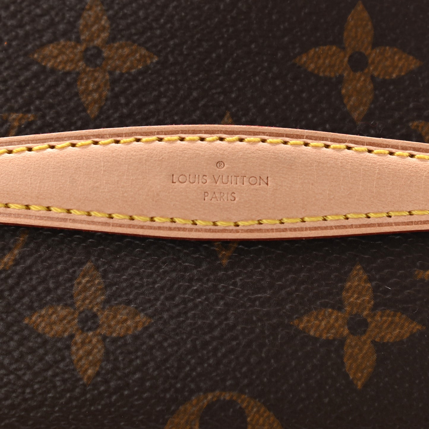 Monogram Nano Nice