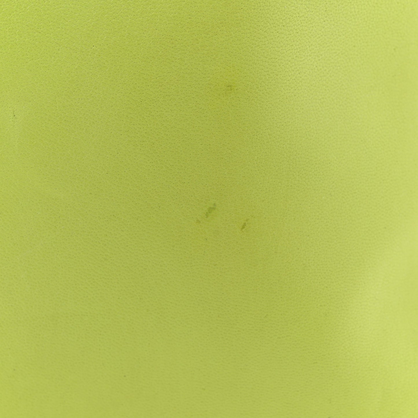 Lambskin Clou De Selle Pouch Kiwi