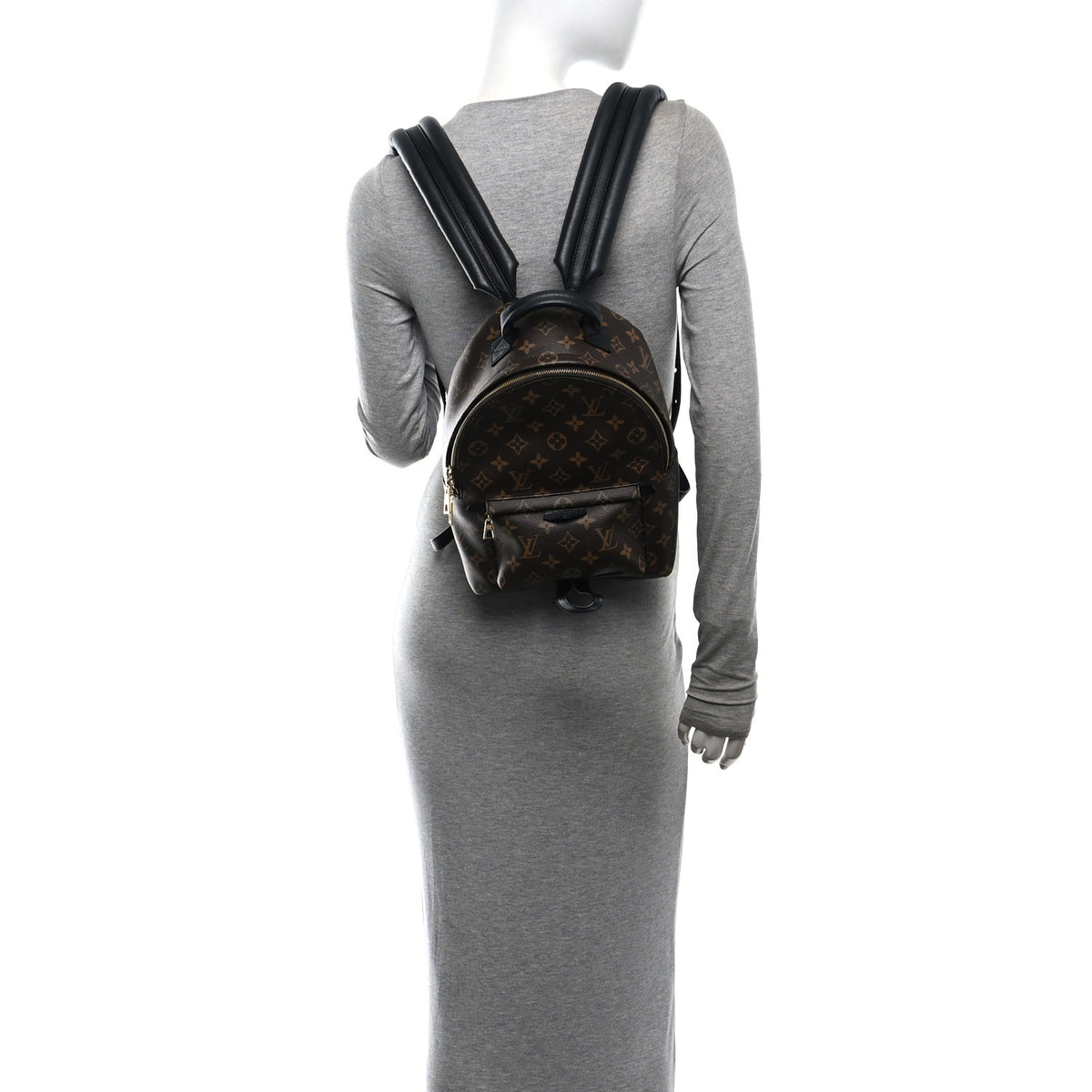 Louis Vuitton Monogram Palm Springs Backpack PM 2 of 9