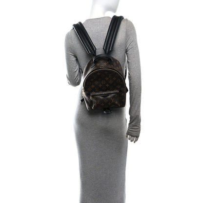 Louis Vuitton Monogram Palm Springs Backpack PM 2 of 9