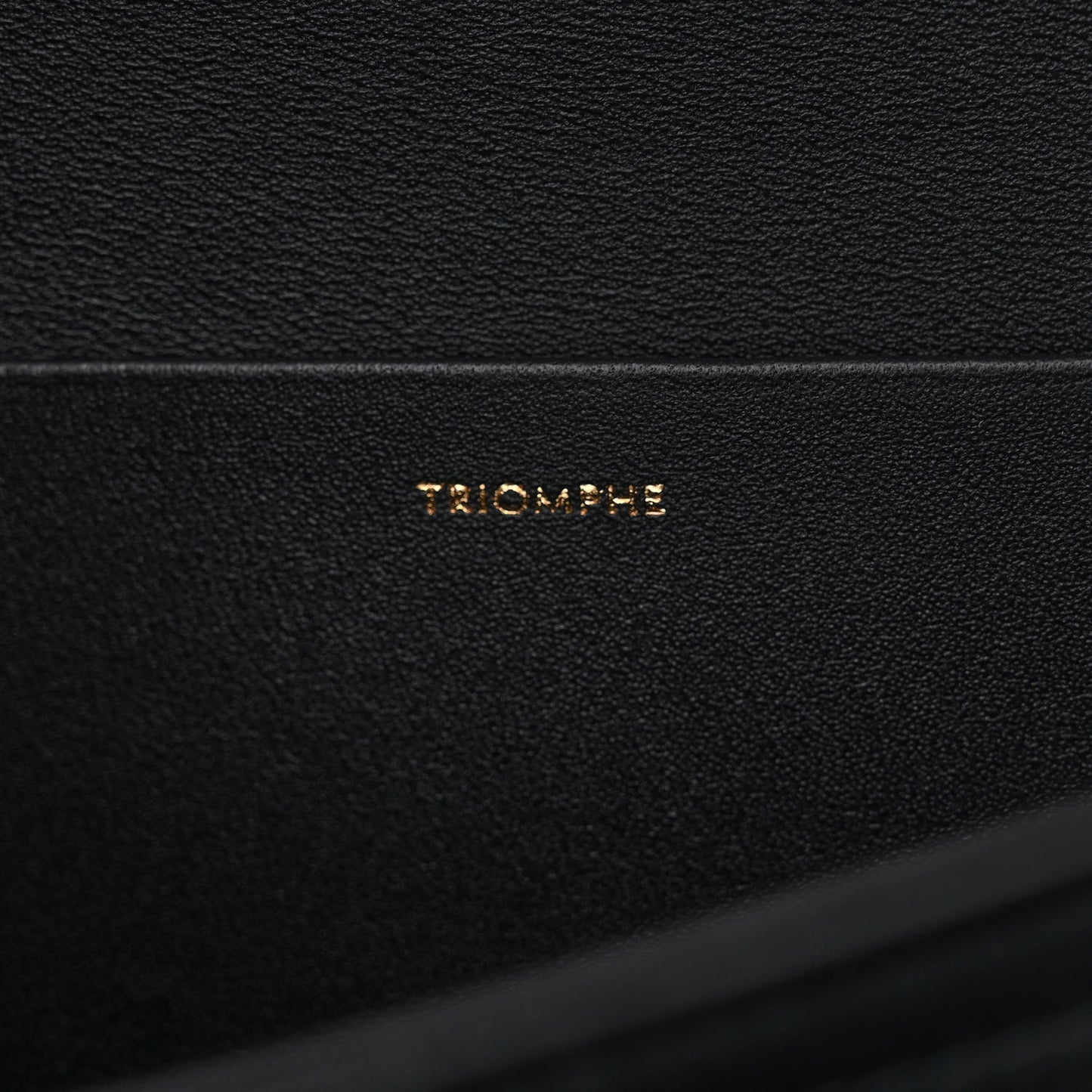 Shiny Calfskin Medium Triomphe Black