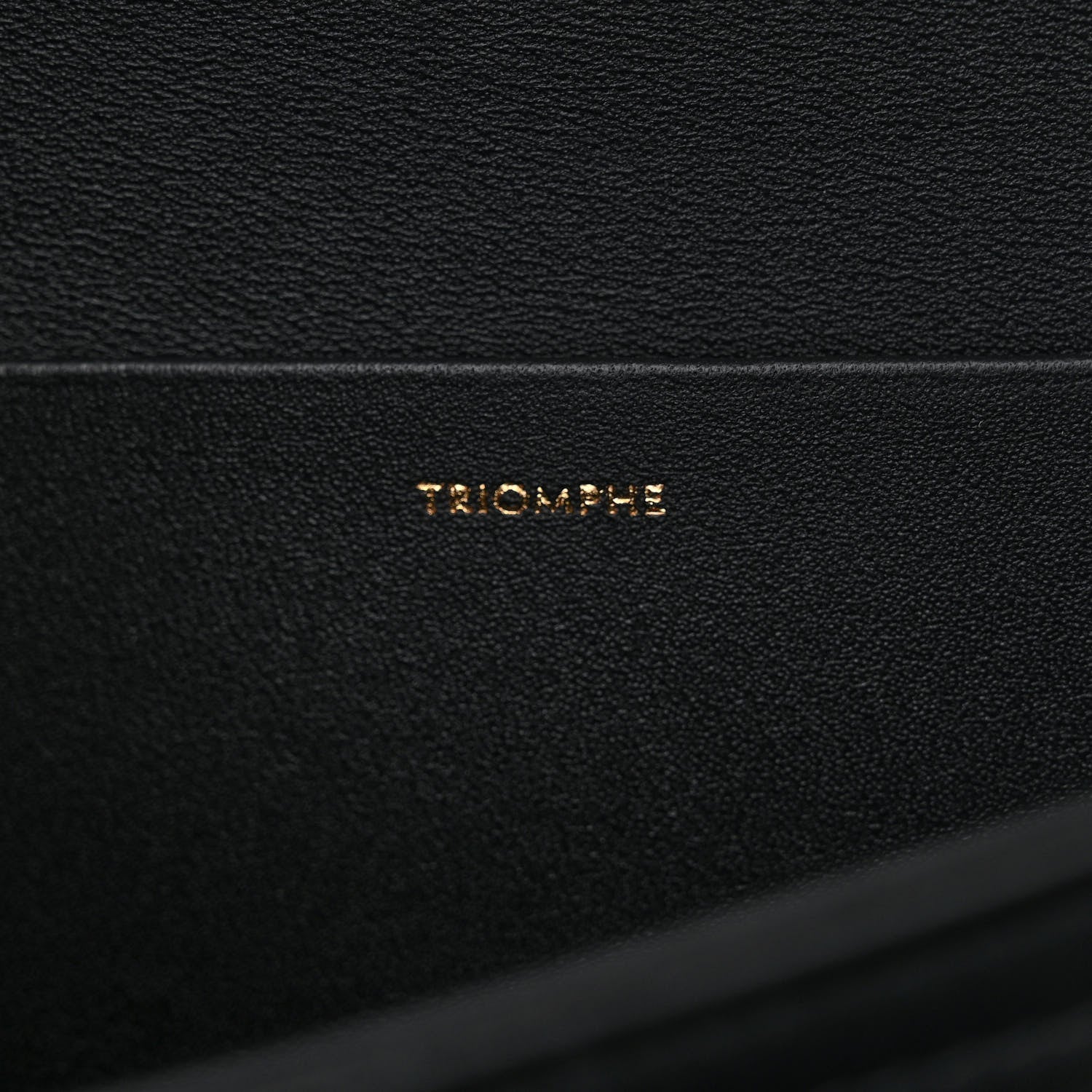 Celine Shiny Calfskin Medium Triomphe Black 7 of 14