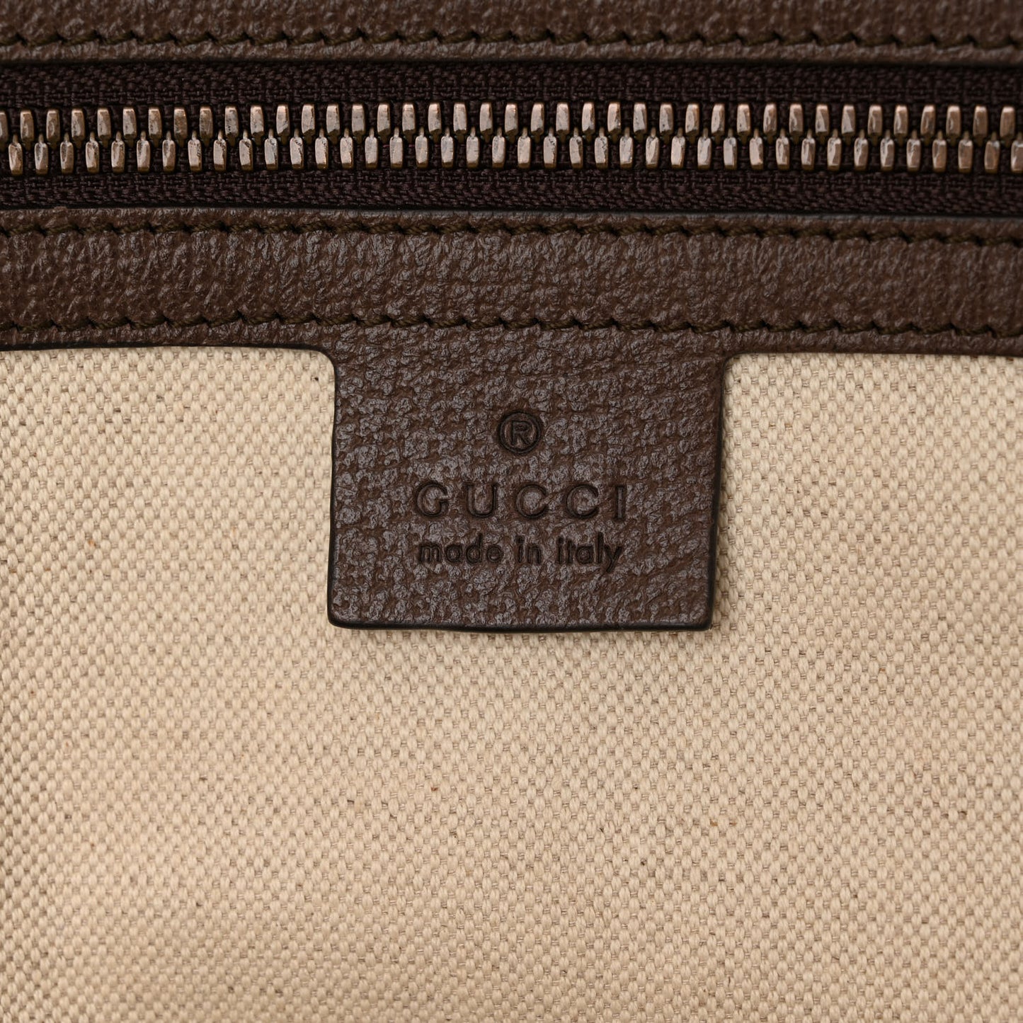 GG Supreme Monogram Medium Ophidia Day Backpack Brown