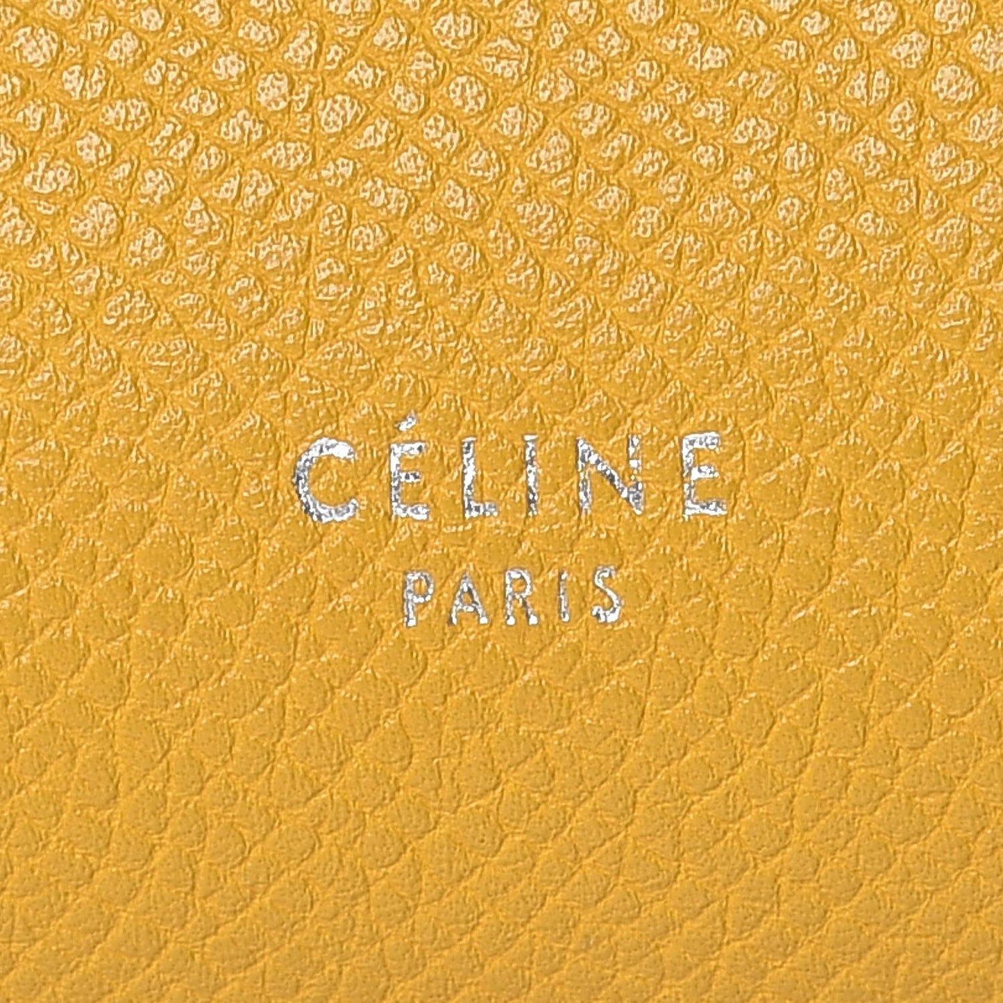 Grained Calfskin Mini Belt Bag Imperial