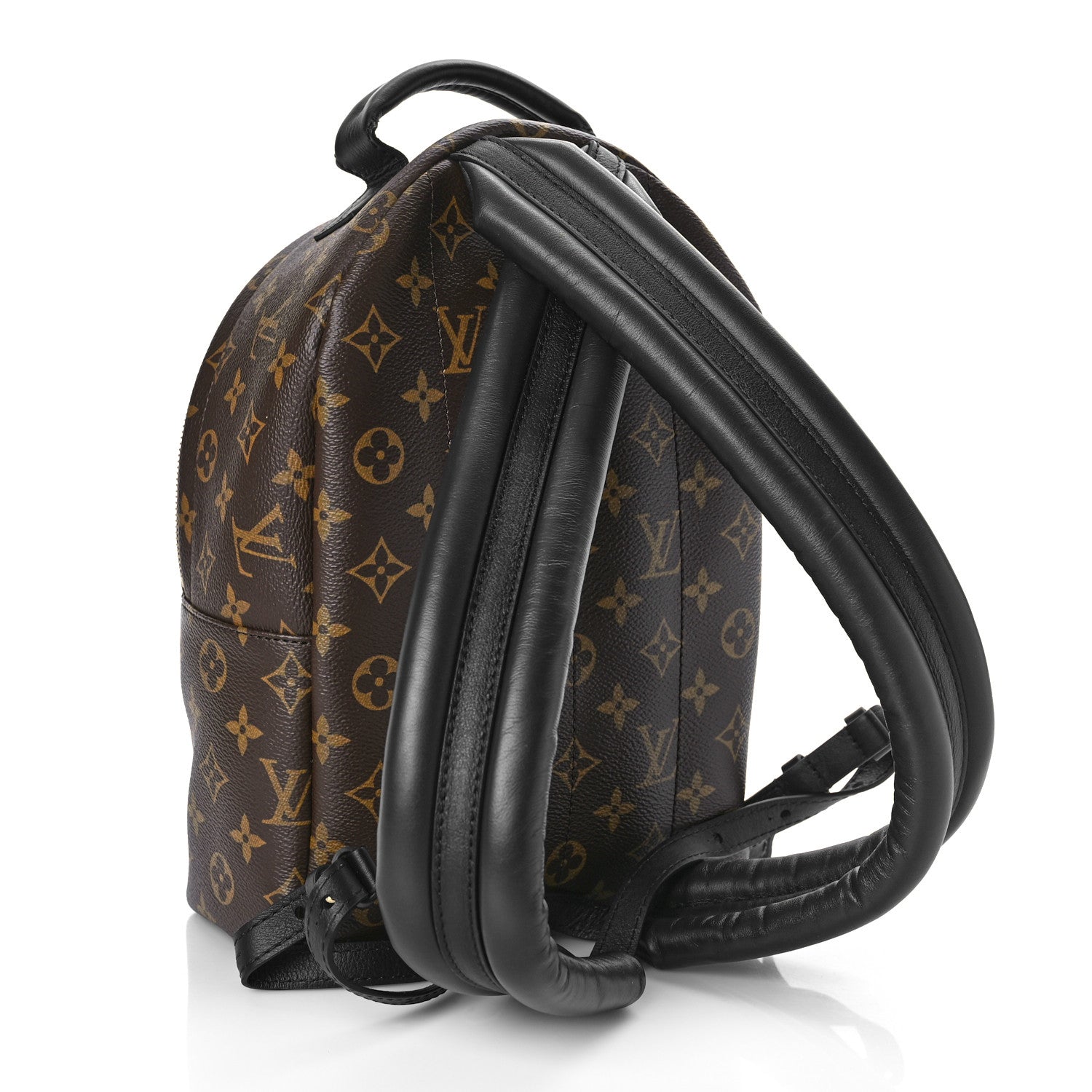 Louis Vuitton Monogram Palm Springs Backpack PM 3 of 8