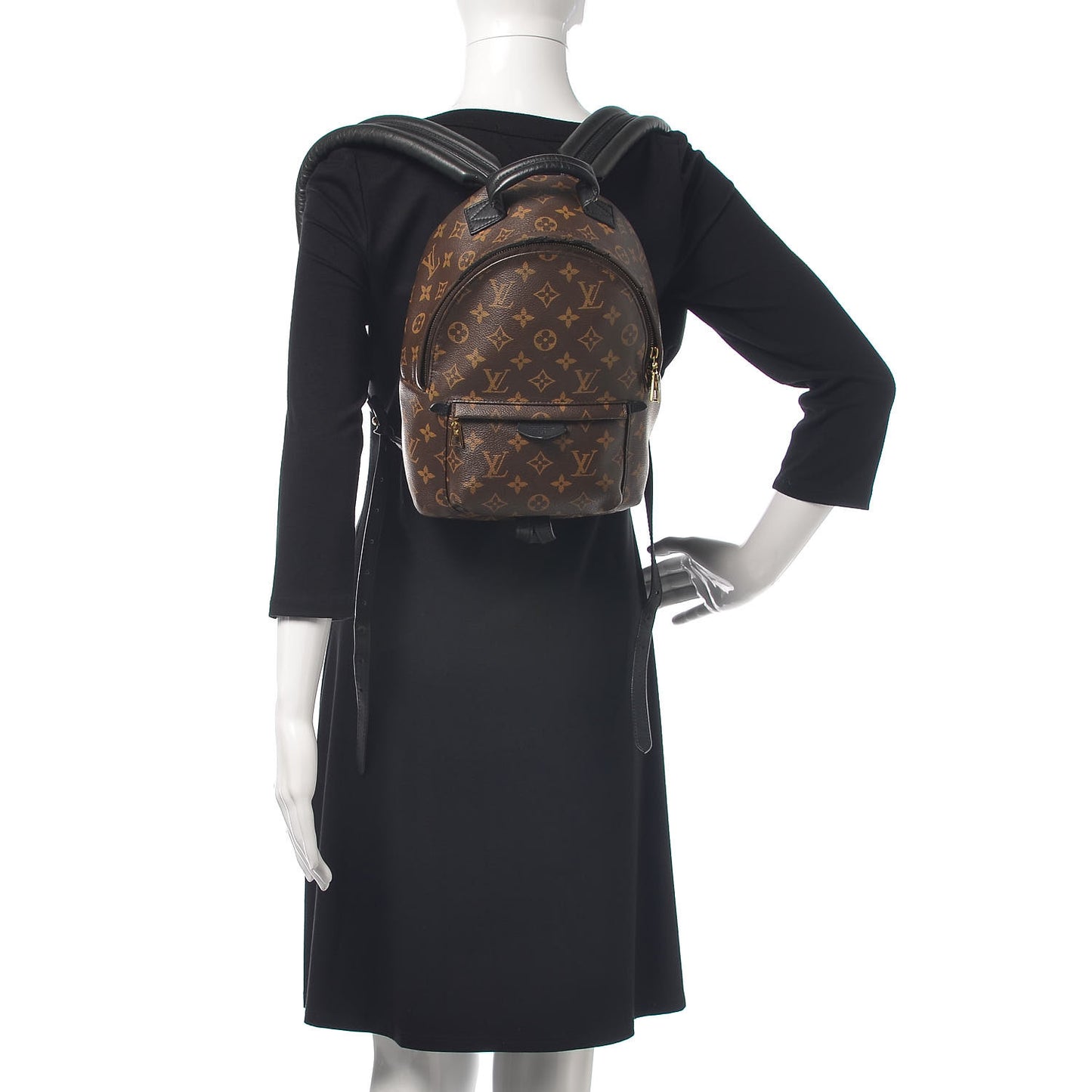 Monogram Palm Springs Backpack PM