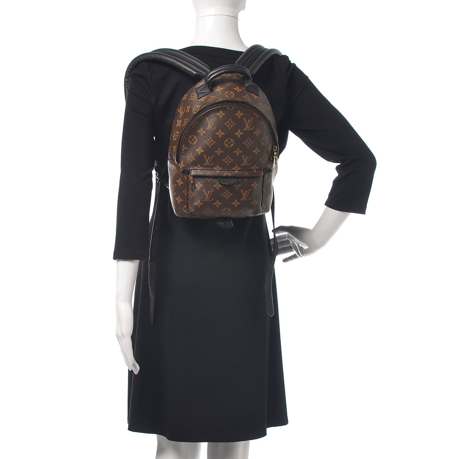 Louis Vuitton Monogram Palm Springs Backpack PM 2 of 11