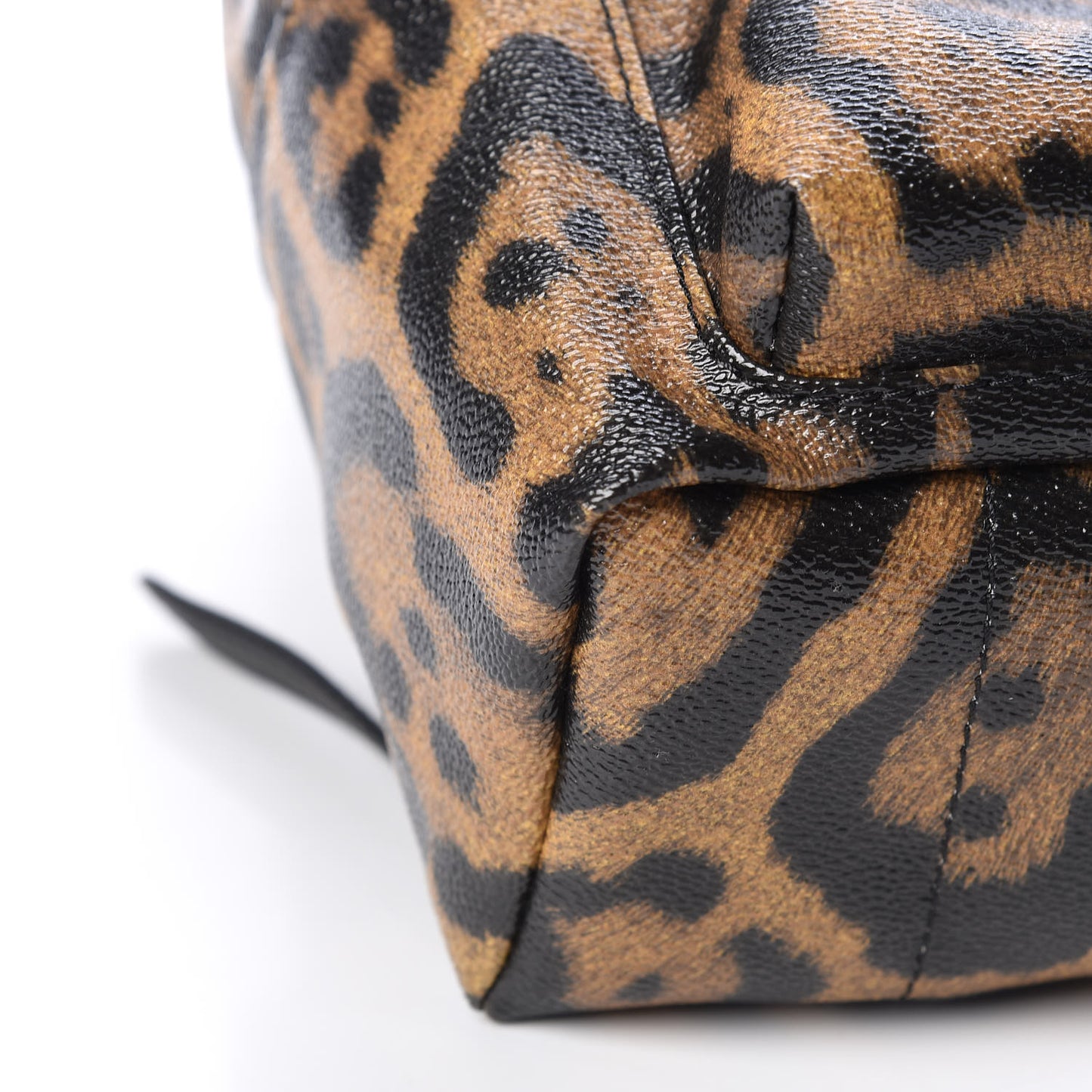 Wild Animal Print Palm Springs Backpack PM