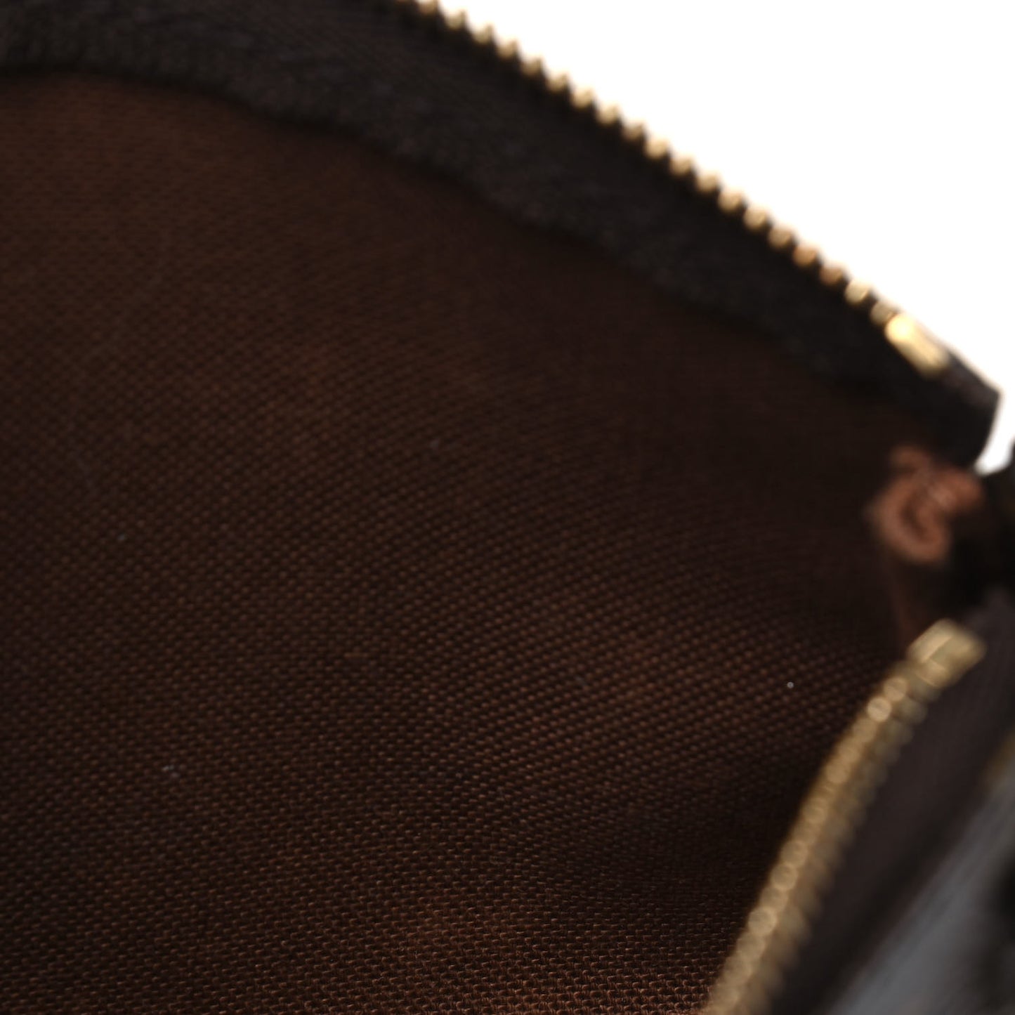 Monogram Mini Pochette Accessories