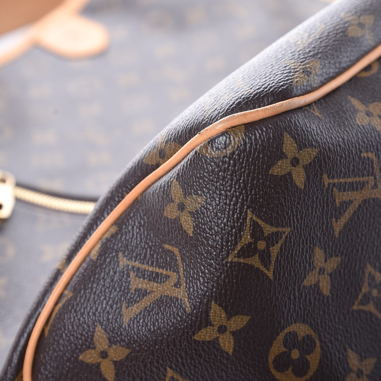 Louis Vuitton Monogram Delightful GM 10 of 13