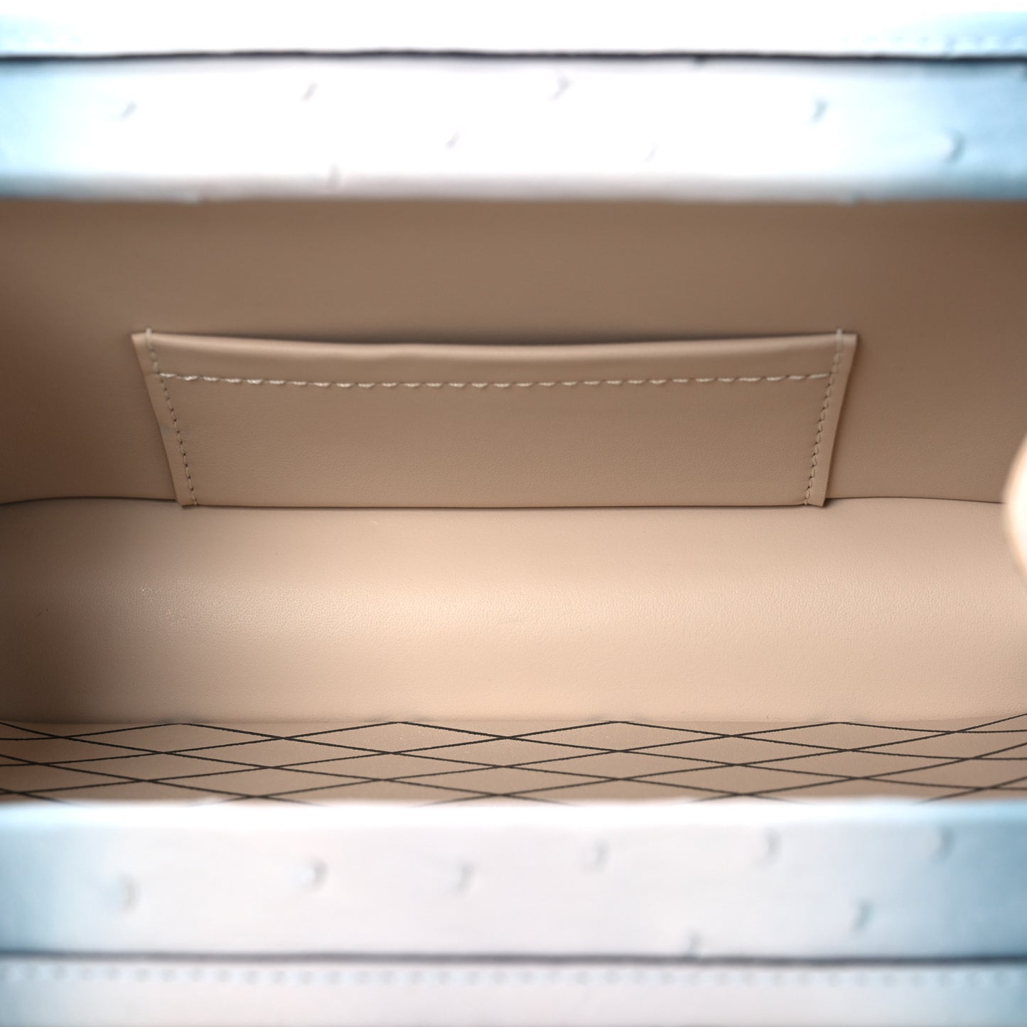 Ostrich Petite Malle Blue Grey