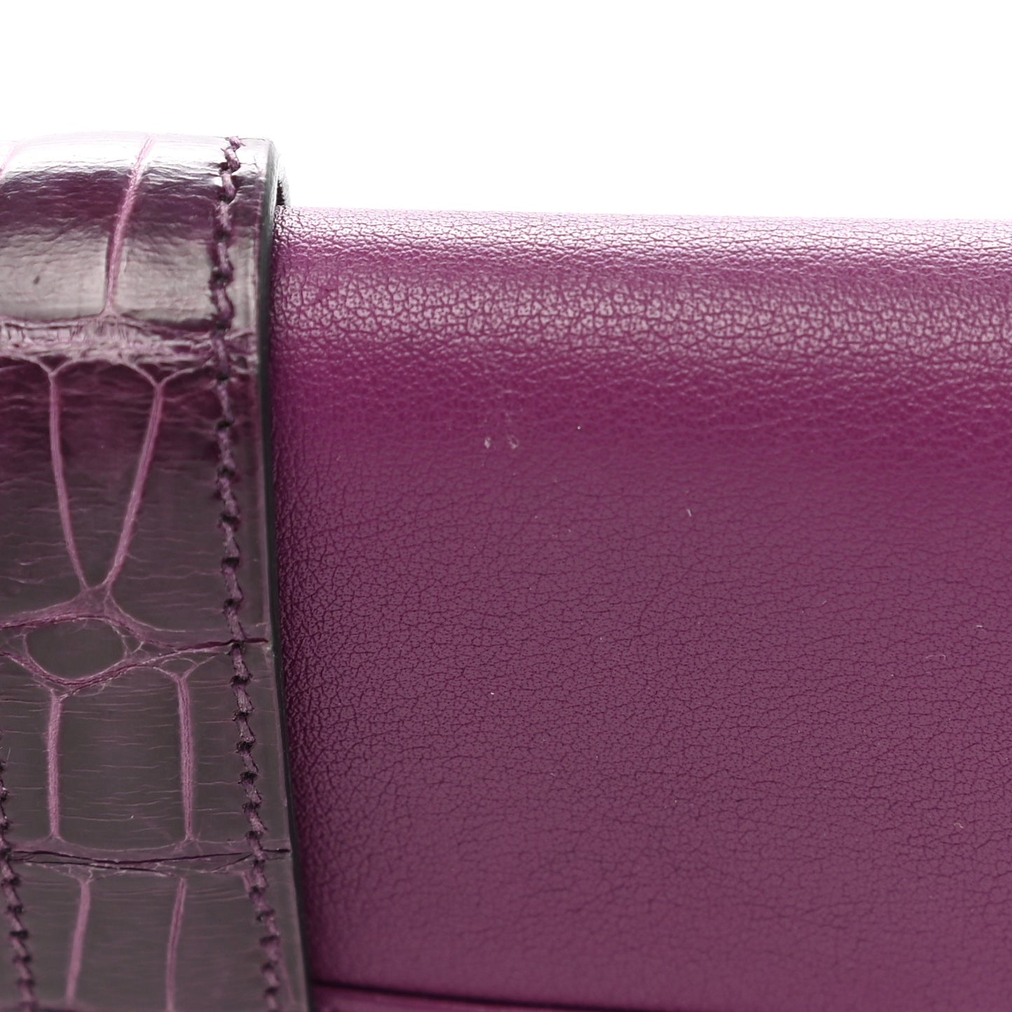 Swift Shiny Alligator Jige Duo Touch Clutch Anemone