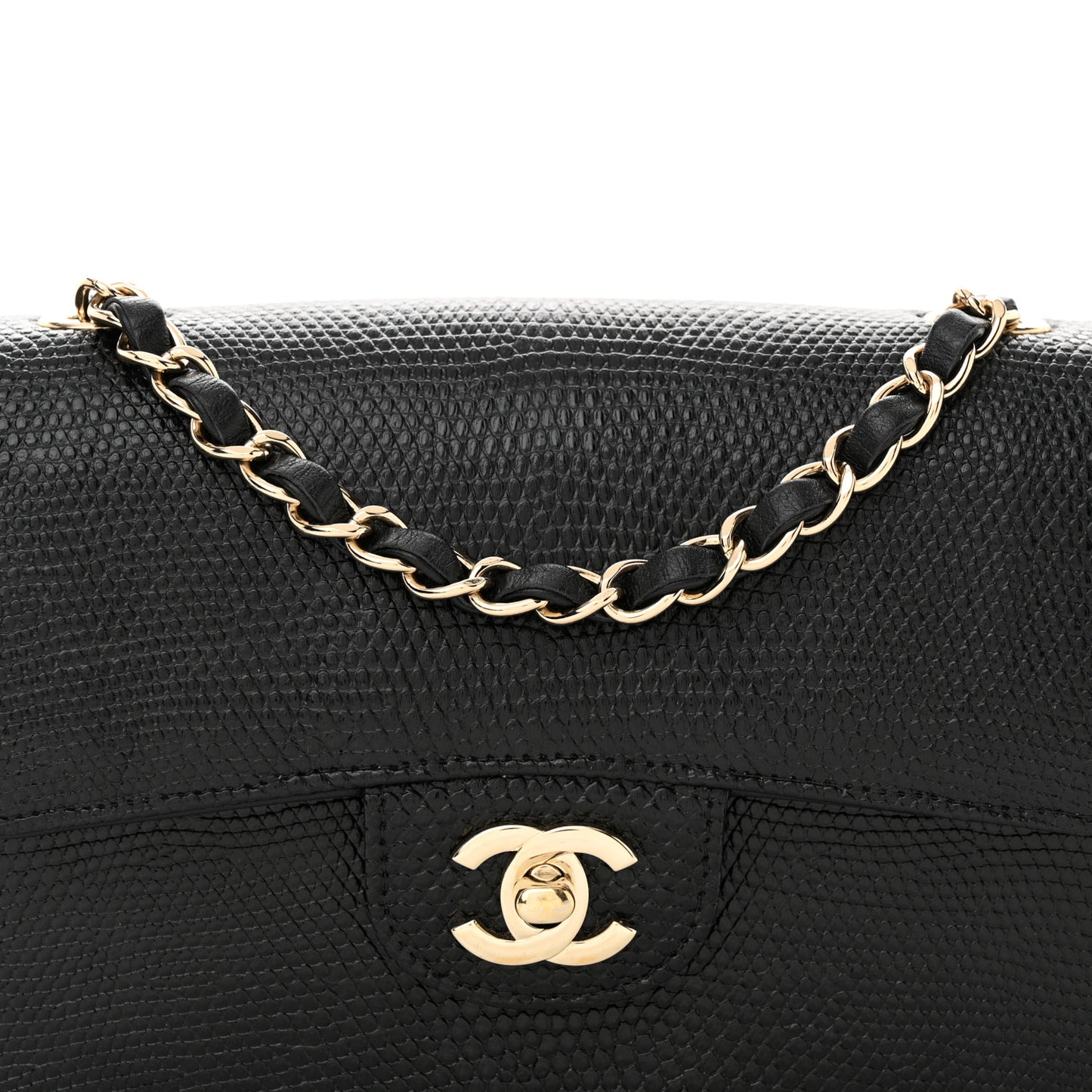 Lizard Mini Rectangular Flap Black
