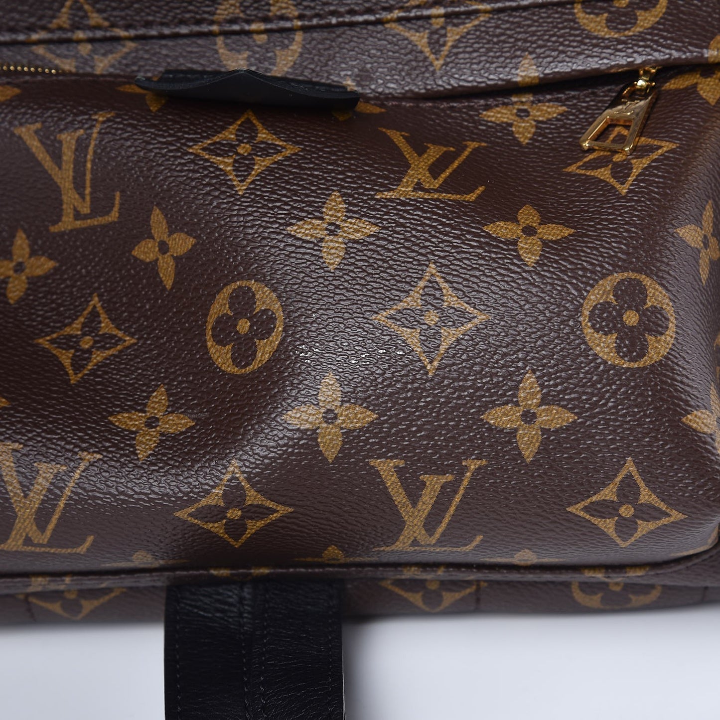 Monogram Palm Springs Backpack MM
