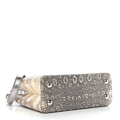 Louis Vuitton Lizard Mini Capucines Argento 4 of 8
