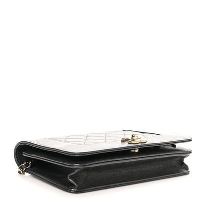 Chanel Sheepskin Quilted Mademoiselle Vintage Wallet On Chain WOC Ruthenium 4 of 12