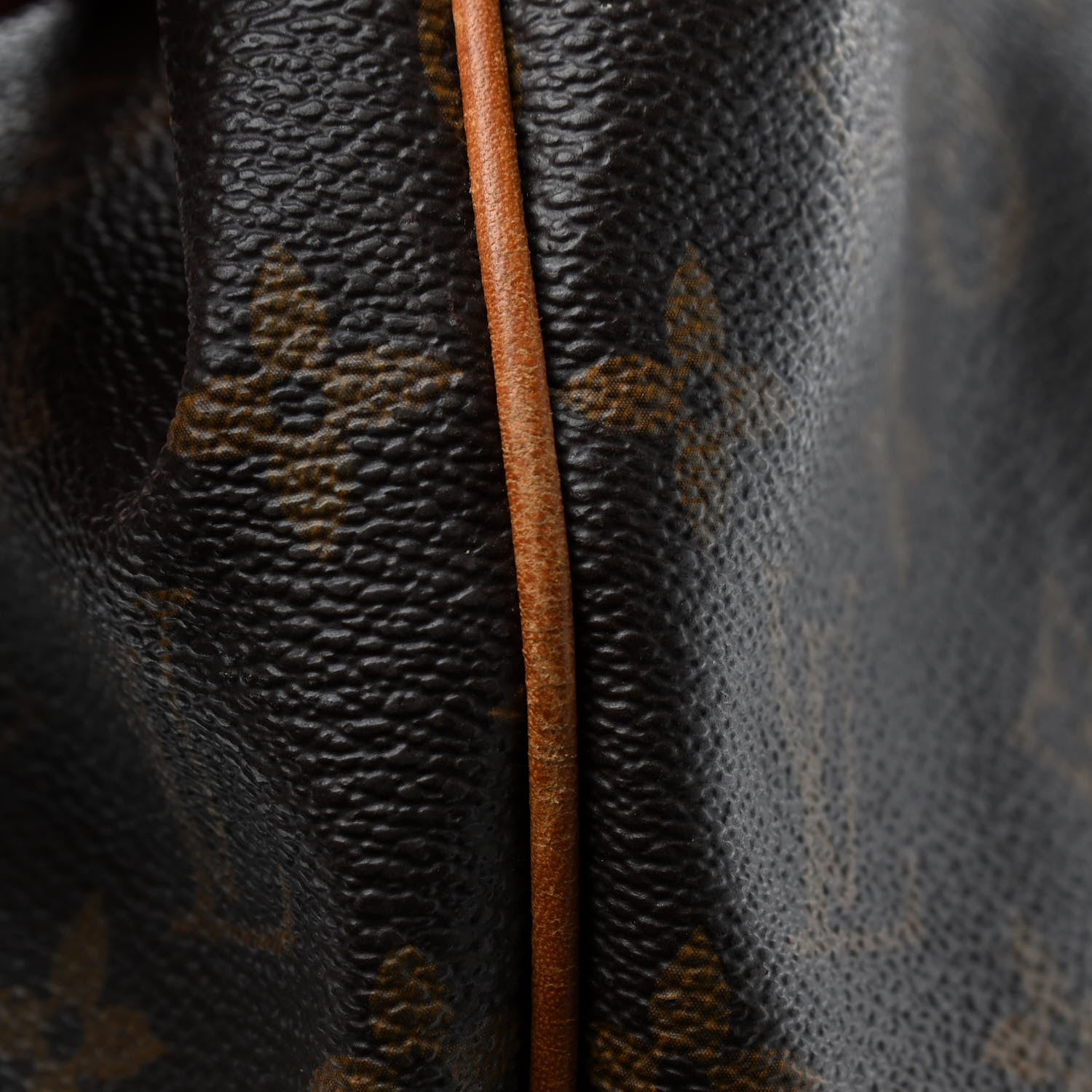 Louis Vuitton Monogram Palermo GM 22 of 25