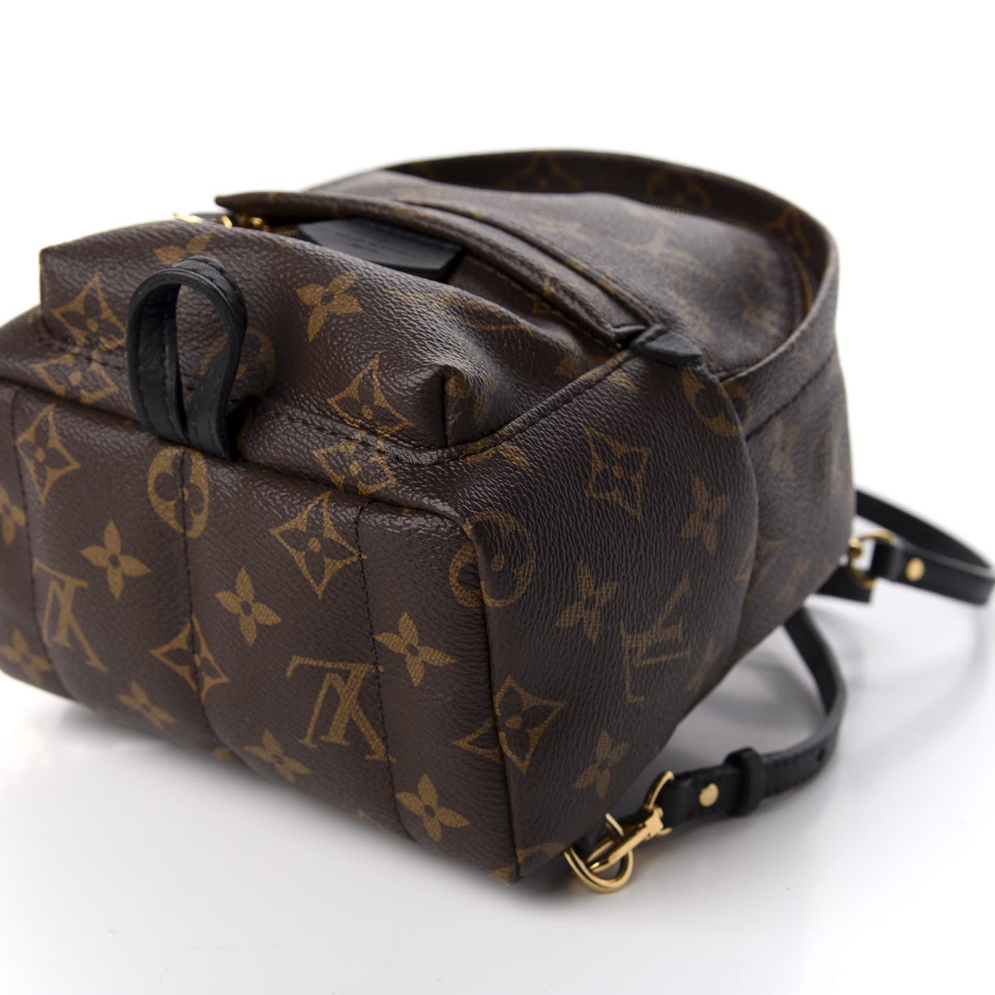 Monogram Palm Springs Backpack Mini