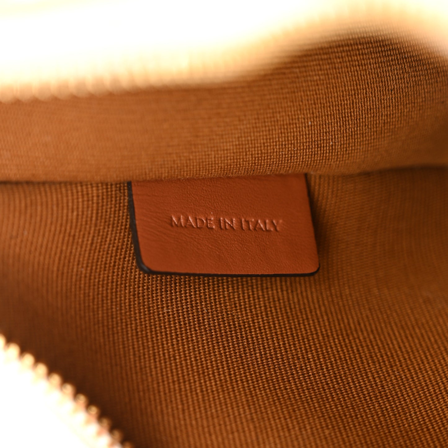 Canvas Calfskin Ava Triomphe Shoulder Bag White