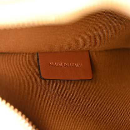 Celine Canvas Calfskin Ava Triomphe Shoulder Bag White 7 of 10